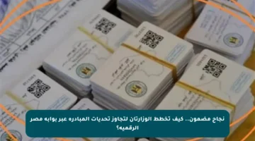 نجاح مضمون.. كيف تخطط الوزارتان لتجاوز تحديات المبادرة عبر بوابة مصر الرقمية؟